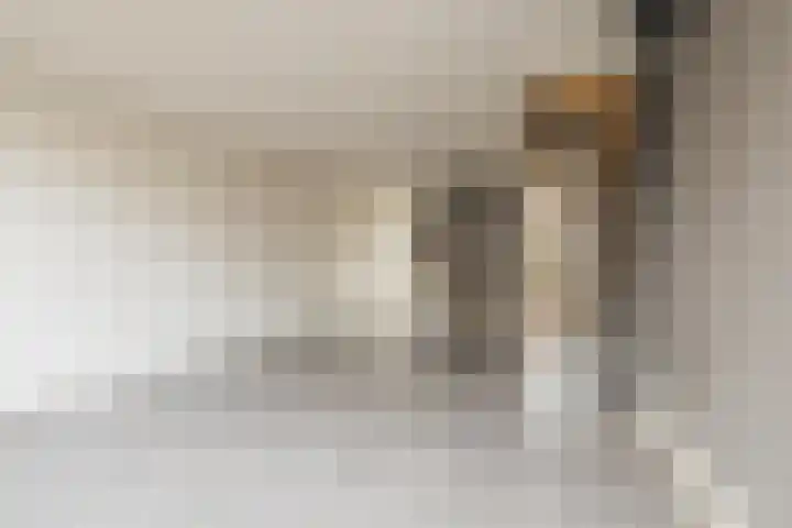 Zuiderkruis 37 Lisse thumbnail 11