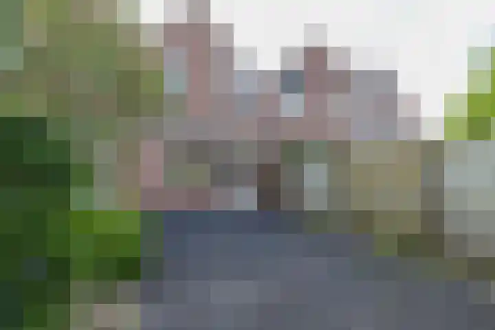 Zuiderkruis 37 Lisse thumbnail 18