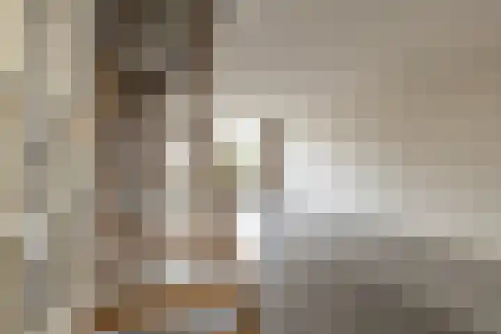Zuiderkruis 37 Lisse thumbnail 19