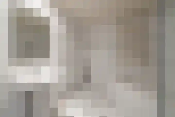 Zuiderkruis 37 Lisse thumbnail 26