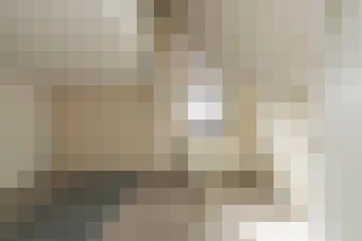 Zuiderkruis 37 Lisse thumbnail 29