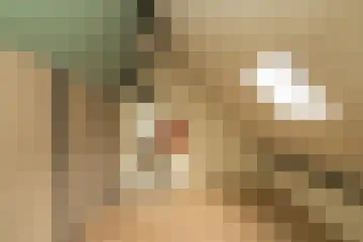 Zuiderkruis 37 Lisse thumbnail 31