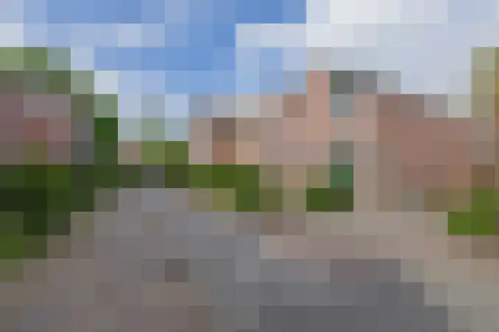 Zuiderkruis 37 Lisse thumbnail 34