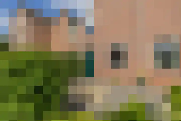 Zuiderkruis 37 Lisse thumbnail 5