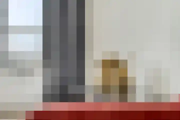 Zuiderkruis 388 Veenendaal thumbnail 12