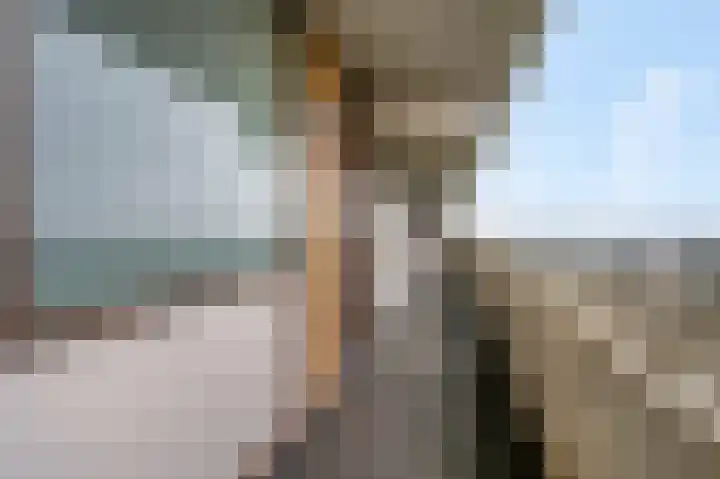 Zuiderkruis 388 Veenendaal thumbnail 6