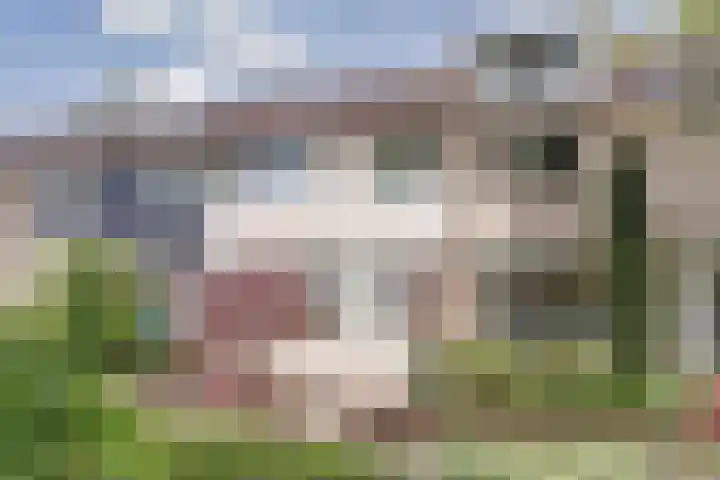 Zuiderkruis 4 in Hoogeveen