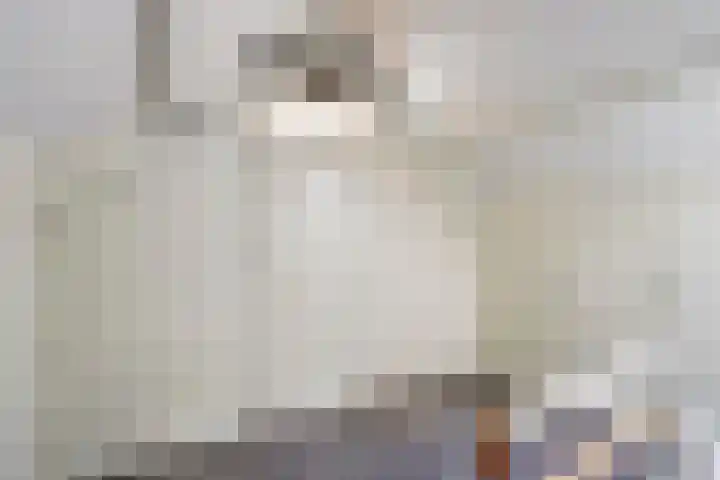 Zuiderkruis 4 Hoogeveen thumbnail 21