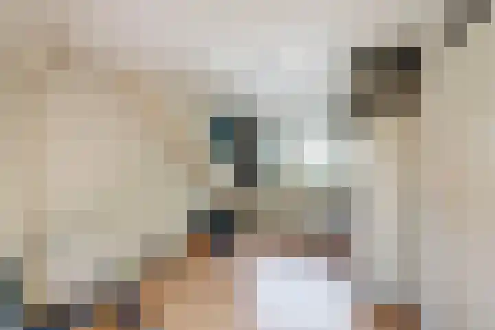 Zuiderkruis 4 Hoogeveen thumbnail 22
