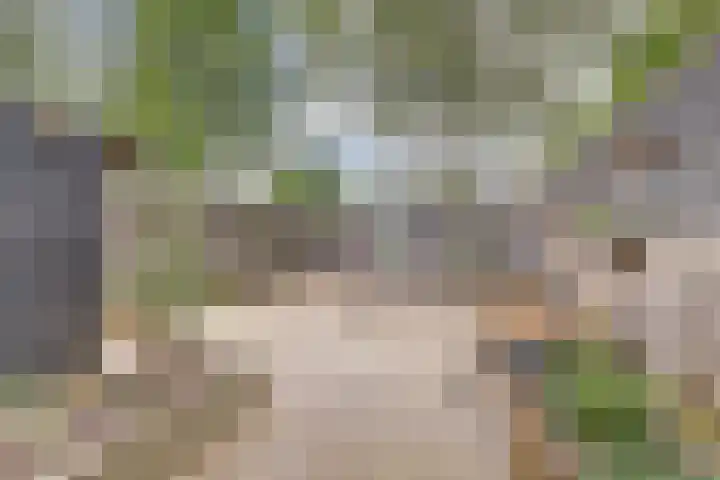 Zuiderkruis 4 Hoogeveen thumbnail 25