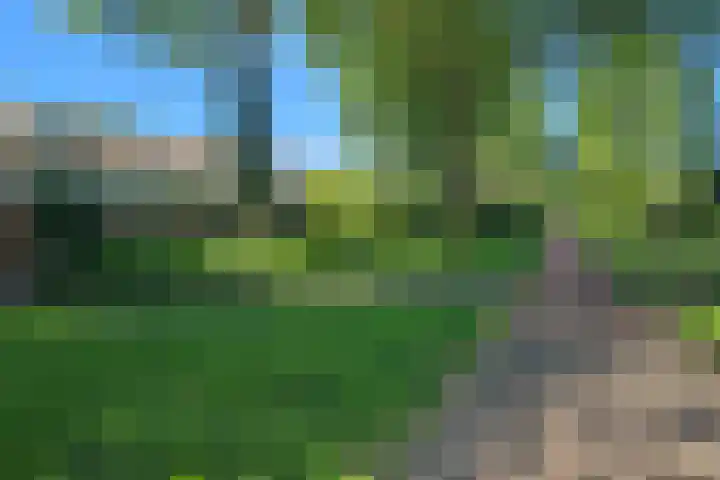 Zuiderkruis 4 Hoogeveen thumbnail 26