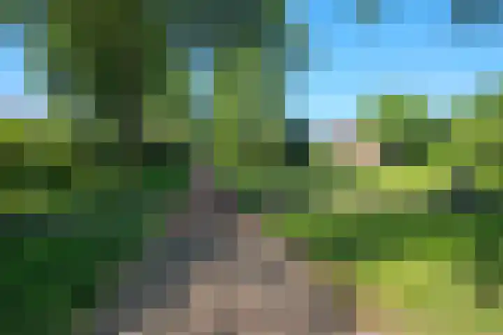 Zuiderkruis 4 Hoogeveen thumbnail 27