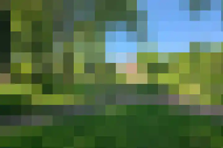 Zuiderkruis 4 Hoogeveen thumbnail 28
