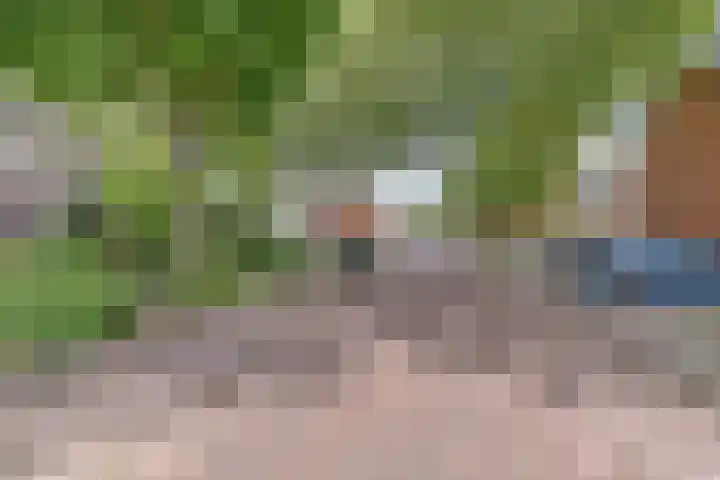 Zuiderkruis 4 Hoogeveen thumbnail 30