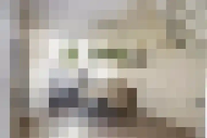 Zuiderkruis 4 Hoogeveen thumbnail 5