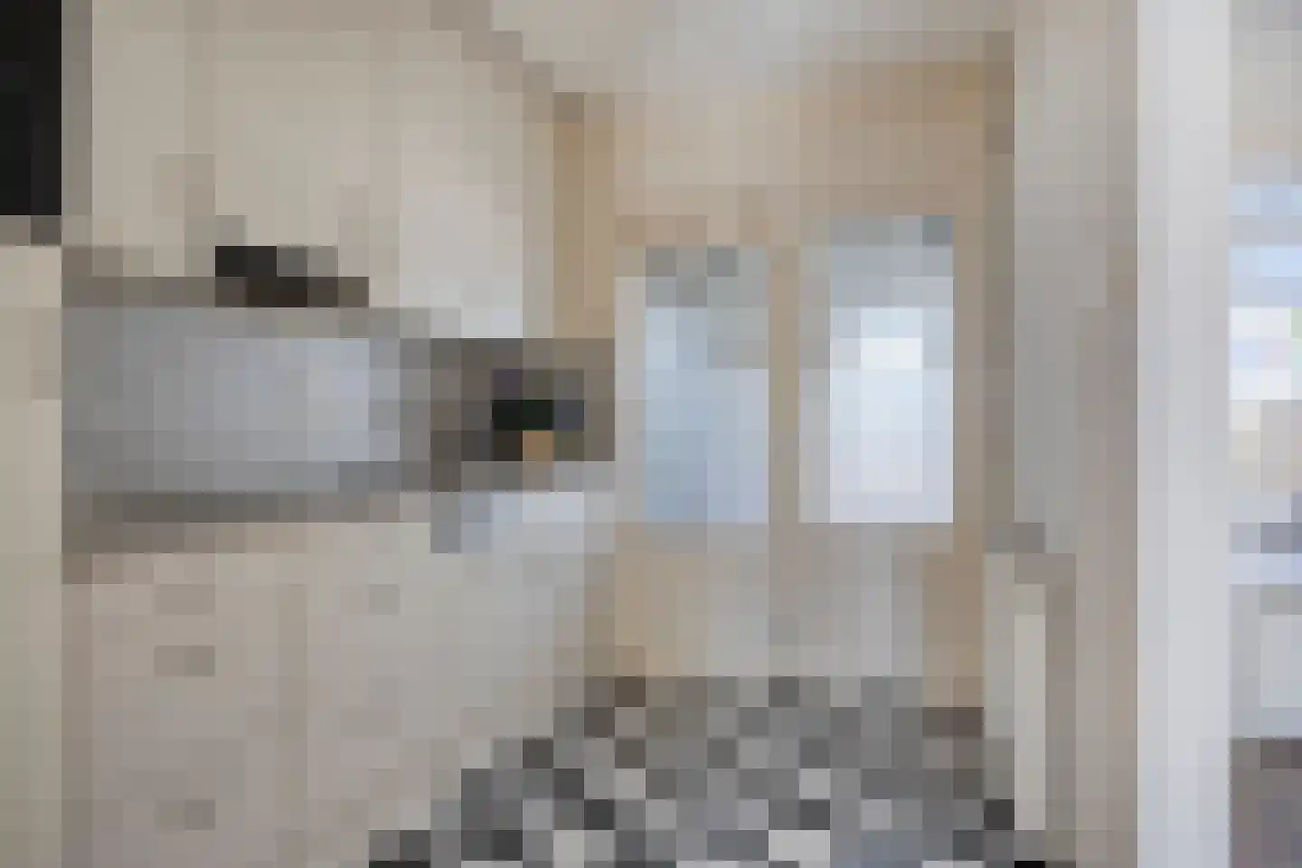 Zuiderkruis 4 Klazienaveen thumbnail 6