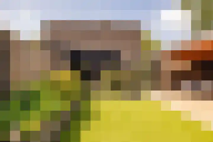 Zuiderkruis 42 f Hoogeveen thumbnail 40