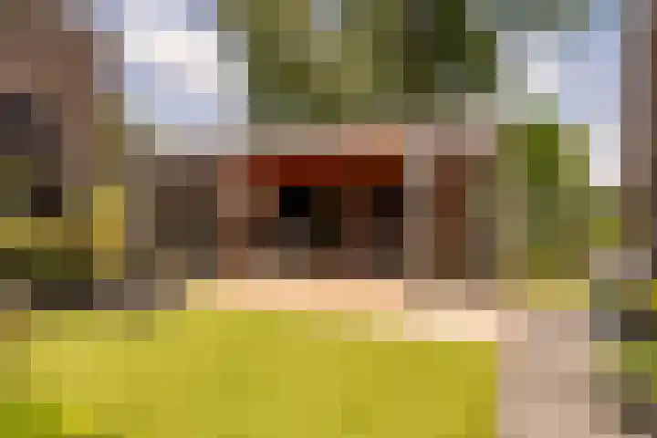 Zuiderkruis 42 f Hoogeveen thumbnail 41