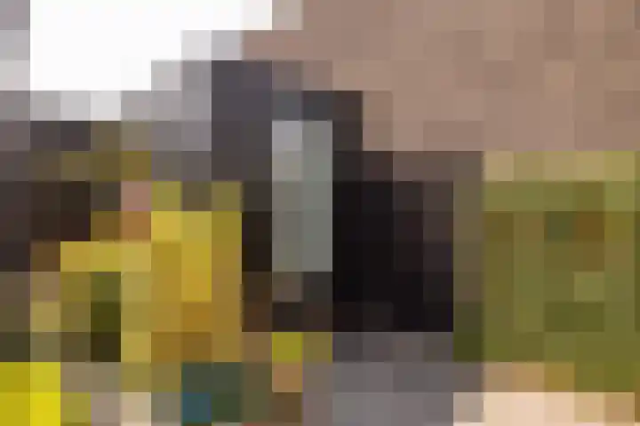 Zuiderkruis 42 f Hoogeveen thumbnail 43