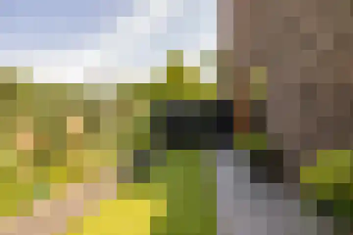 Zuiderkruis 42 f Hoogeveen thumbnail 53