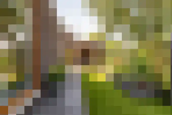 Zuiderkruis 42 f Hoogeveen thumbnail 54