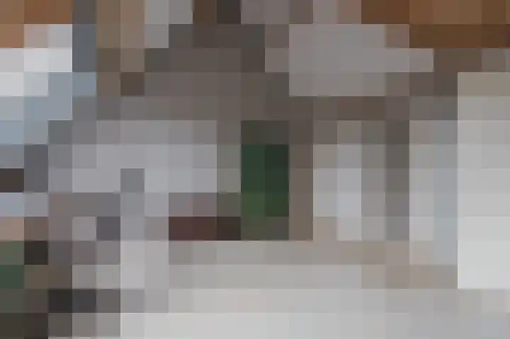 Zuiderkruis 45 Katwijk thumbnail 33