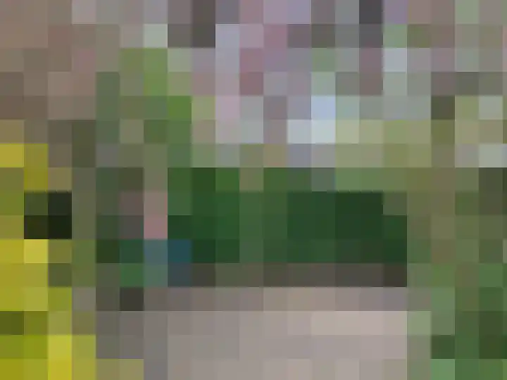 Zuiderkruis 45 Katwijk thumbnail 35