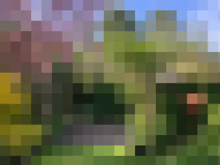 Zuiderkruis 45 Katwijk thumbnail 36