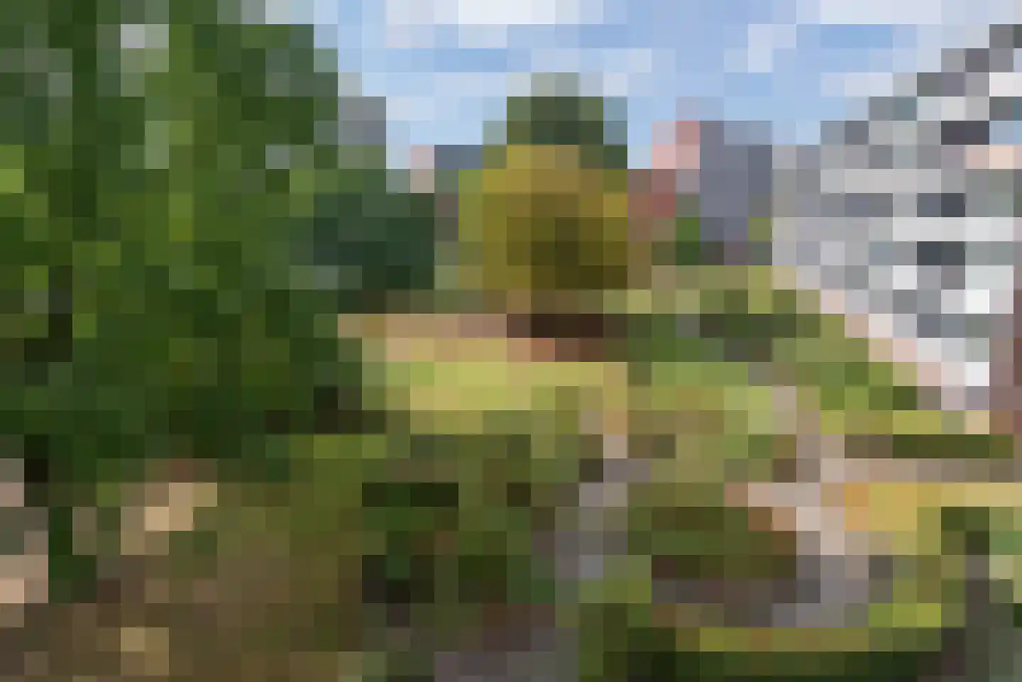 Zuiderkruis 452 Veenendaal thumbnail 25