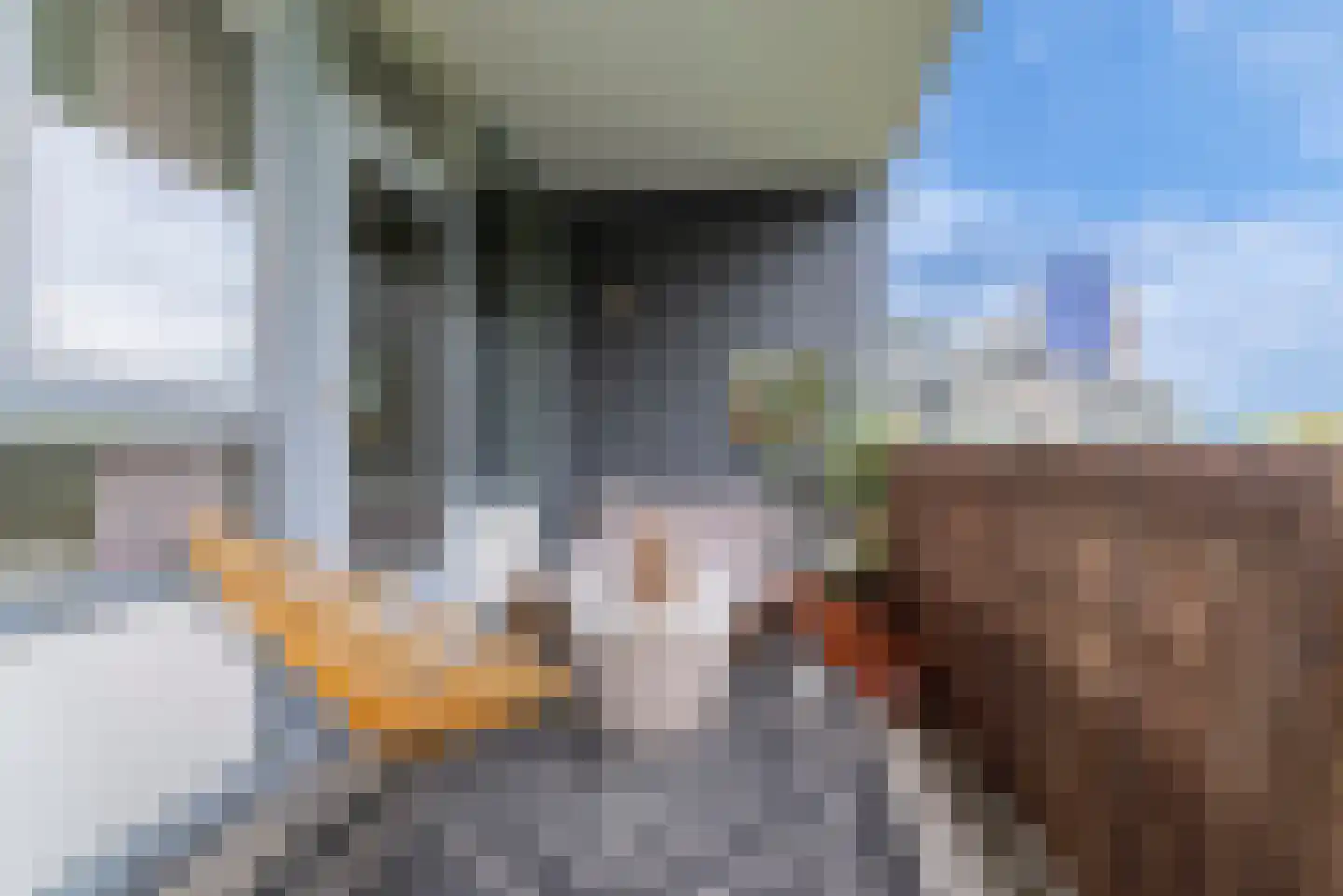 Zuiderkruis 452 Veenendaal thumbnail 7
