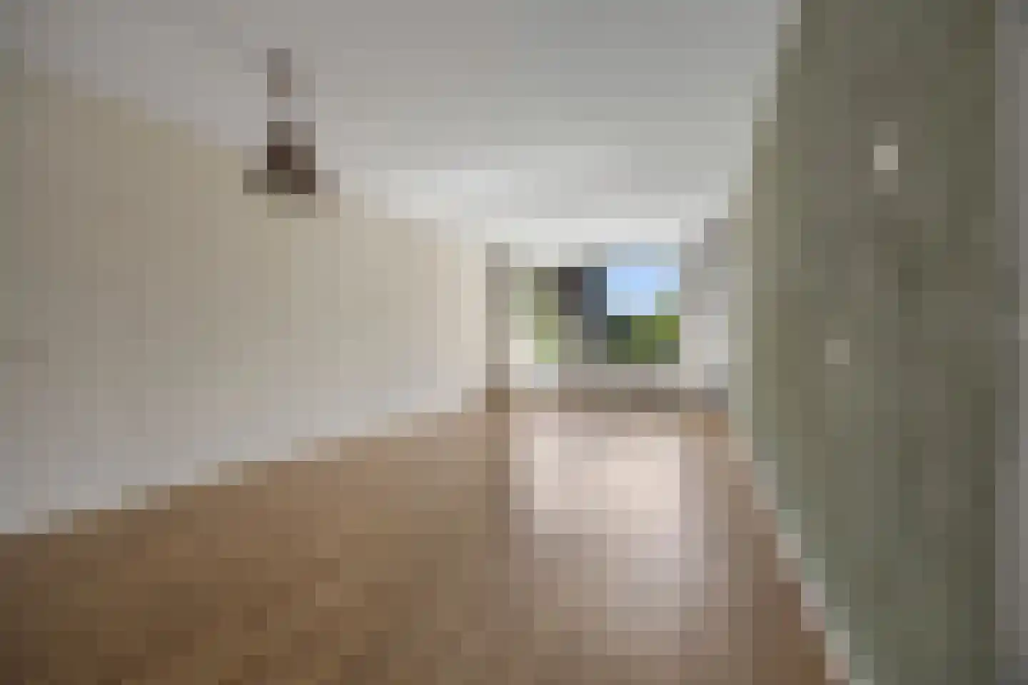 Zuiderkruis 460 Veenendaal thumbnail 10