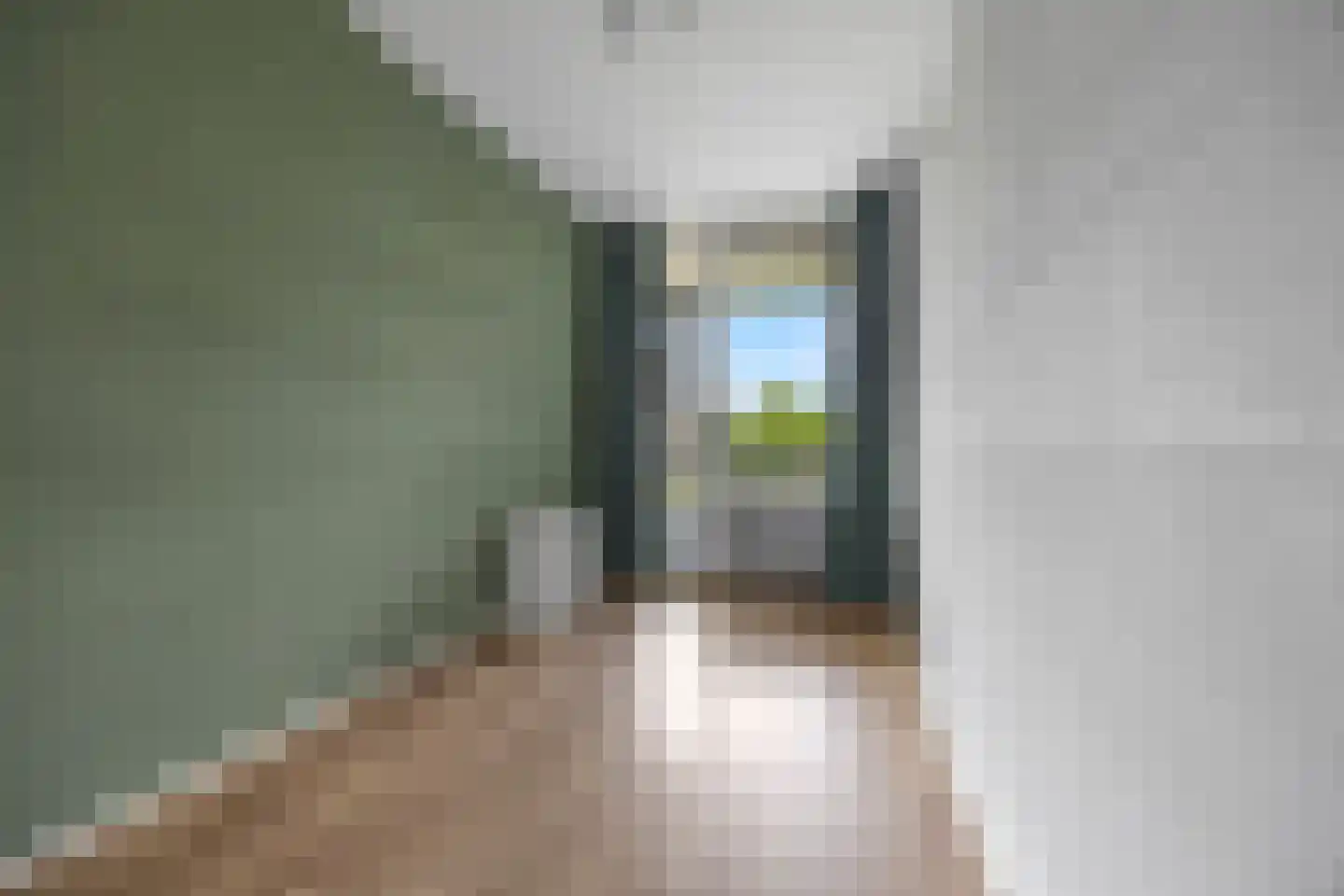 Zuiderkruis 460 Veenendaal thumbnail 17