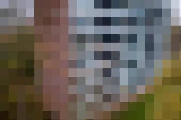 Zuiderkruis 476 Veenendaal thumbnail 27