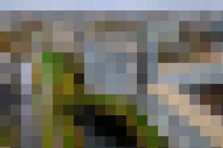 Zuiderkruis 476 Veenendaal thumbnail 29