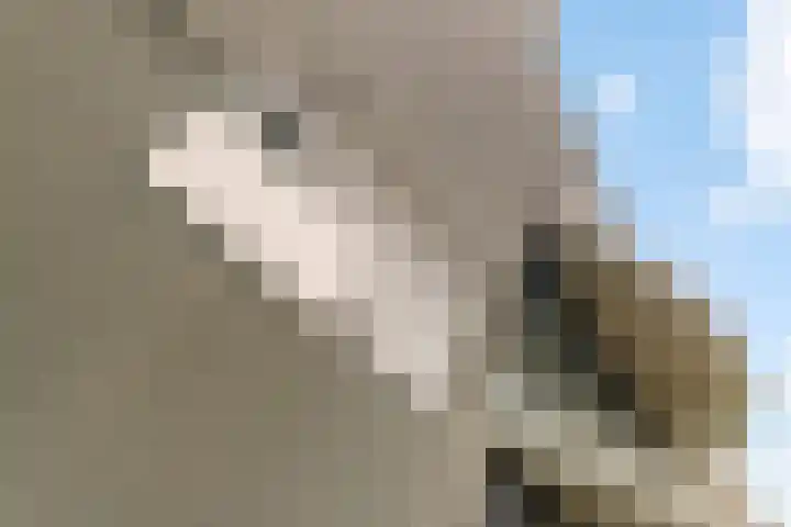 Zuiderkruis 476 Veenendaal thumbnail 4