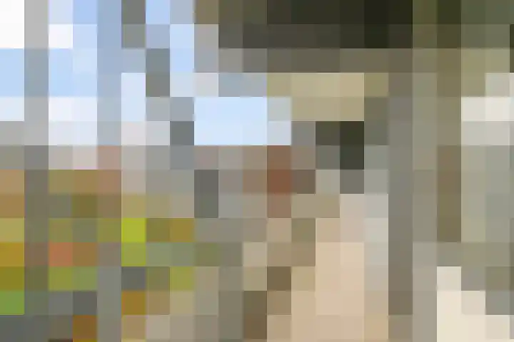 Zuiderkruis 476 Veenendaal thumbnail 6