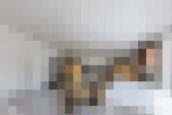 Zuiderkruis 5 Oosterhout thumbnail 20