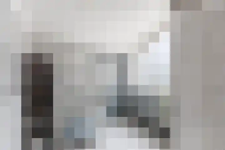 Zuiderkruis 5 Oosterhout thumbnail 22