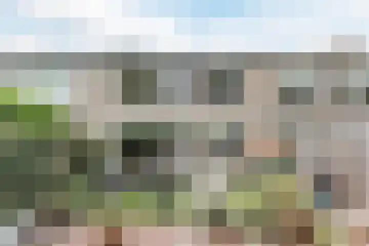 Zuiderkruis 5 Oosterhout thumbnail 30