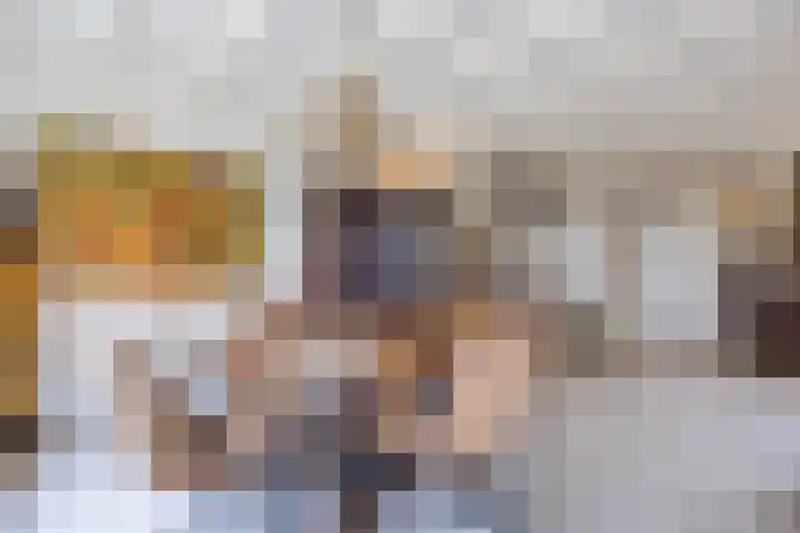 Zuiderkruis 5 Oosterhout thumbnail 7