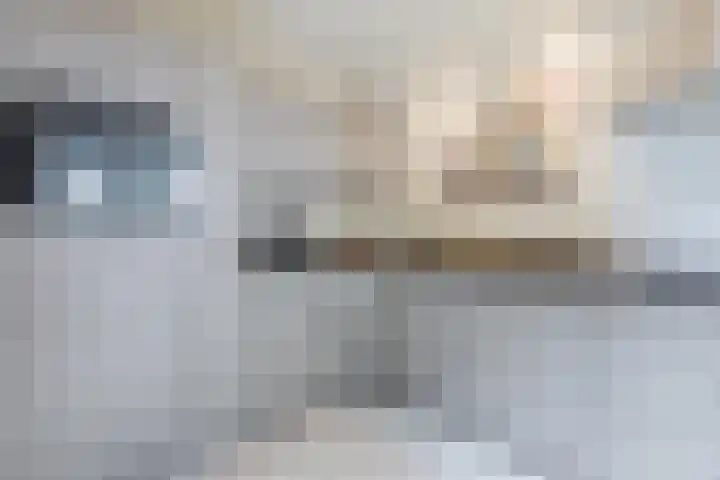 Zuiderkruis 5 Oosterhout thumbnail 8