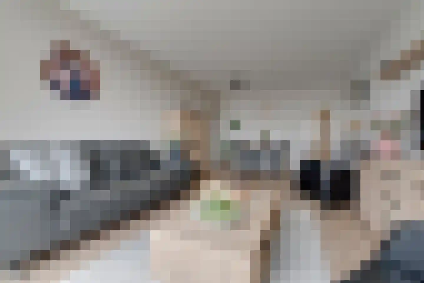 Zuiderkruis 504 Veenendaal thumbnail 6