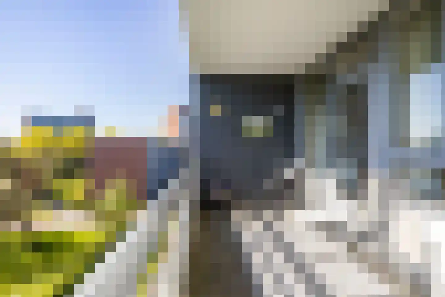 Zuiderkruis 512 Veenendaal thumbnail 30