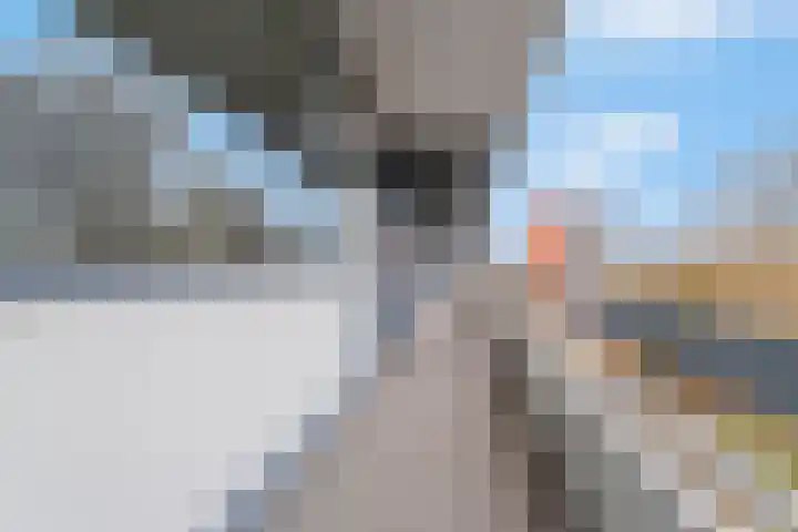 Zuiderkruis 514 Veenendaal thumbnail 18