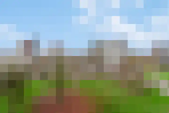 Zuiderkruis 514 Veenendaal thumbnail 7