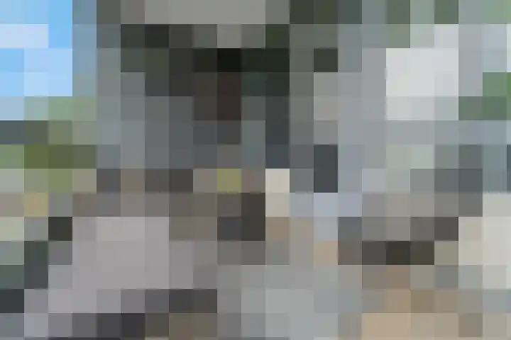 Zuiderkruis 526 Veenendaal thumbnail 15