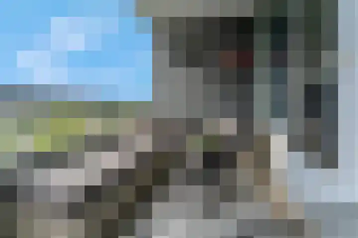 Zuiderkruis 526 Veenendaal thumbnail 16