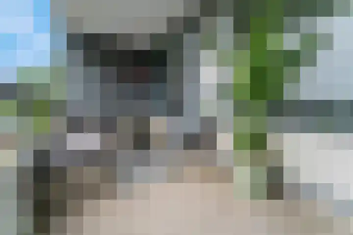 Zuiderkruis 526 Veenendaal thumbnail 17