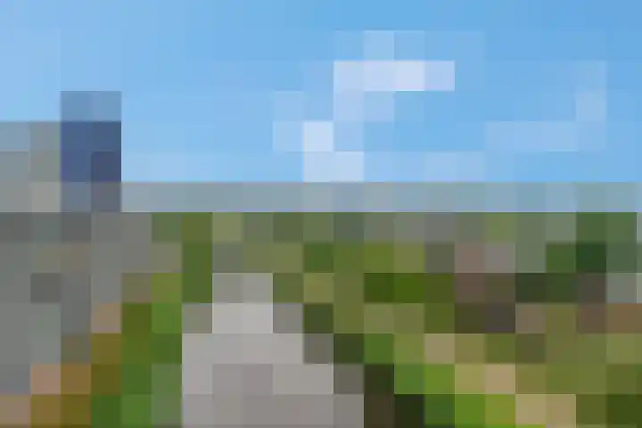 Zuiderkruis 526 Veenendaal thumbnail 19