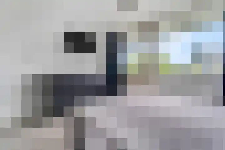 Zuiderkruis 526 Veenendaal thumbnail 28
